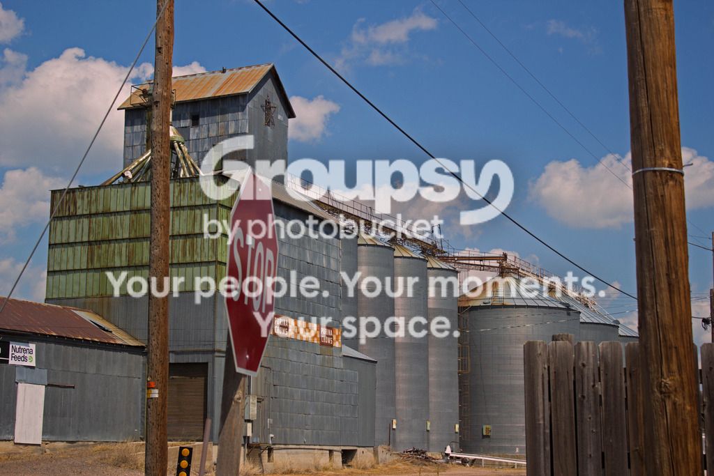 7-2-15%20guernsey_zpshqs1aqsg.jpg
