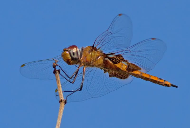 IMG_0014-Edit.jpg