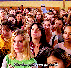 vNmTsLl4cildm.gif