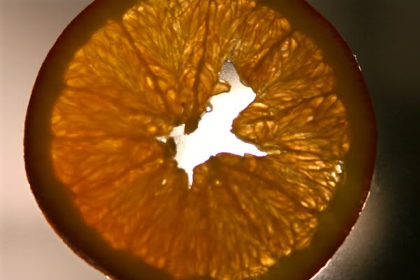 orange02.jpg