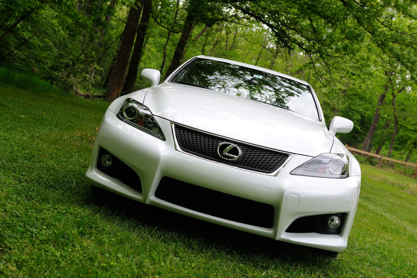 DSC_0013-X3.jpg