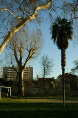 5260506898_fcd29efc21_m.jpg