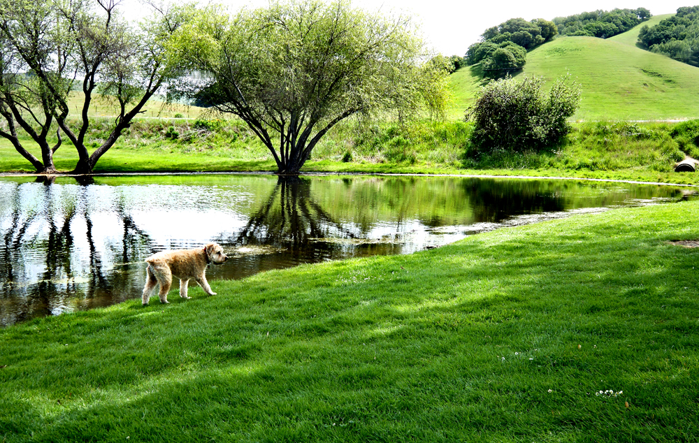 DSCF2630.jpg