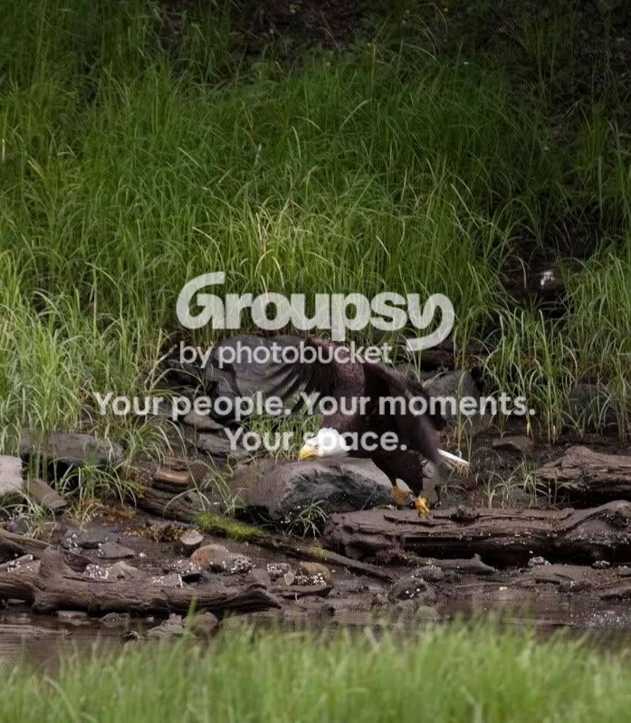 _MG_5411.jpg