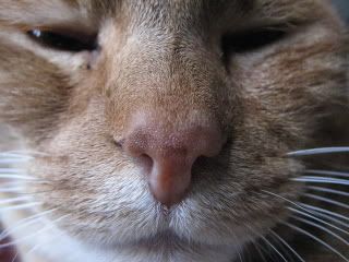 IMG_0285.jpg