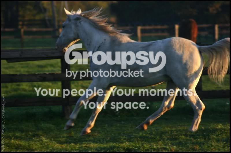 IMG_7058_2.jpg