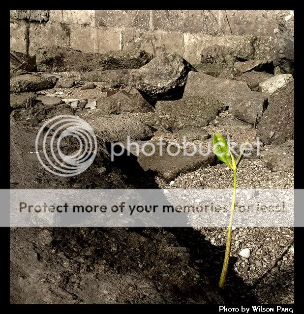 40804Scenery7.jpg