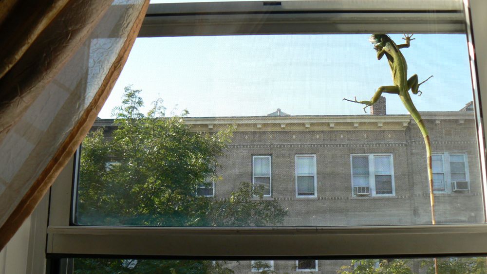 970201128_34d9658201_o.jpg