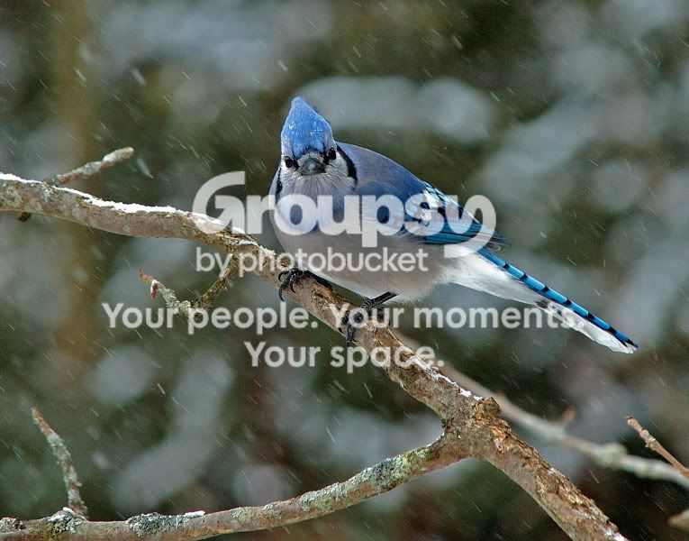 DSC_30580229websize.jpg