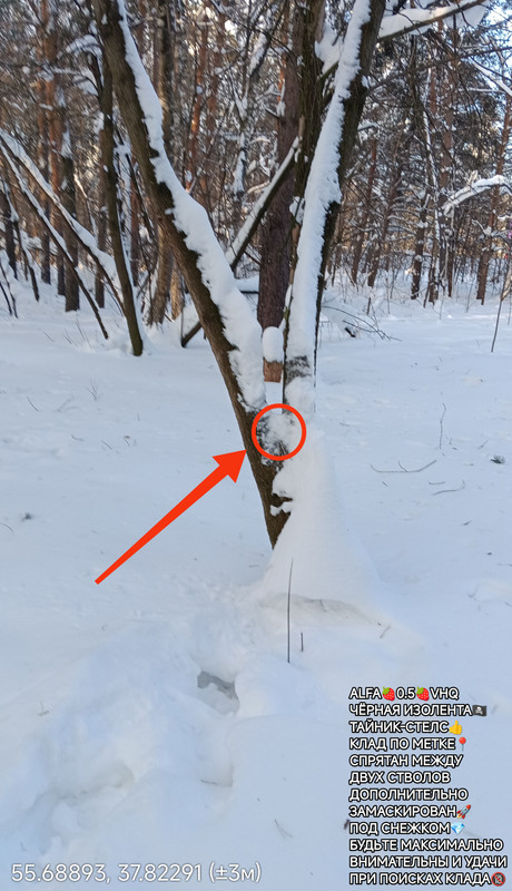 DSC_0076_2.jpg