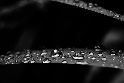4828694673_3784cd94e4.jpg