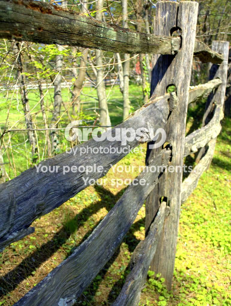 oldfenceatMtVernon.jpg