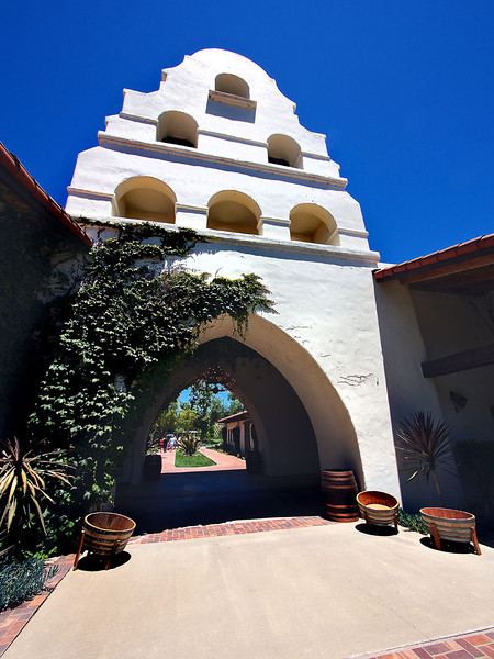 P7080021-L.jpg