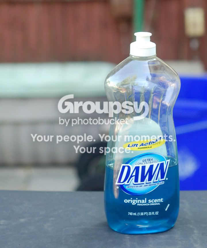 001DAWN.jpg