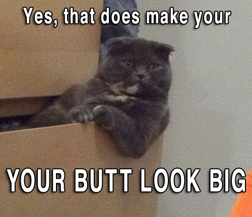 Butt-Look-Big.jpg