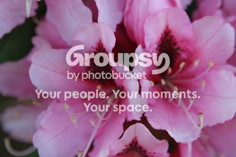 10dshoot2030.jpg