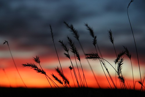 66101036_fe4ce6d0b6.jpg