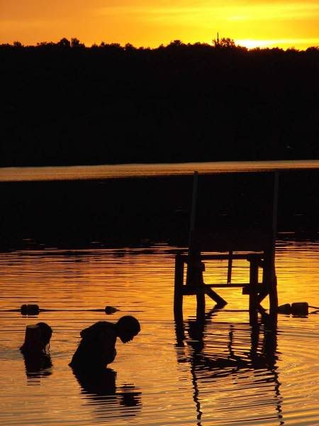 FishSearching1.jpg