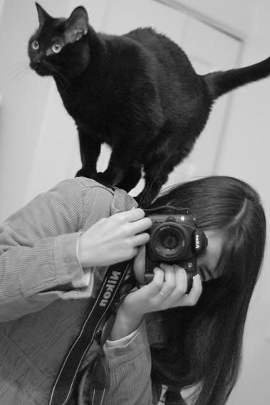 CatProblem3-small.jpg