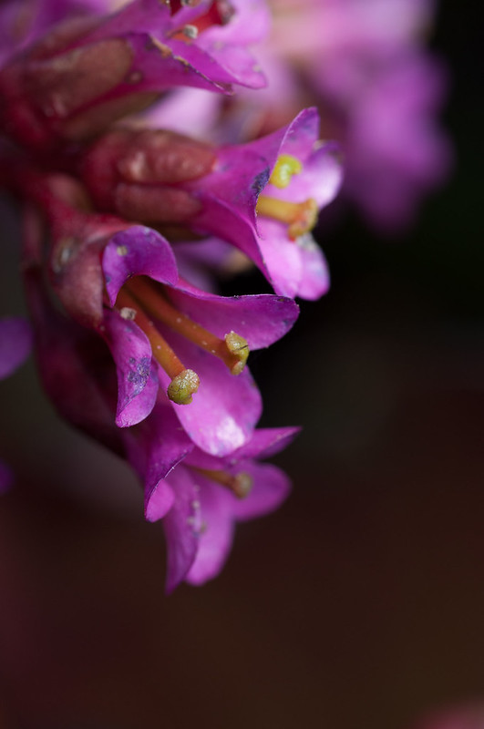 7170803550_8fbdd122e1_c.jpg