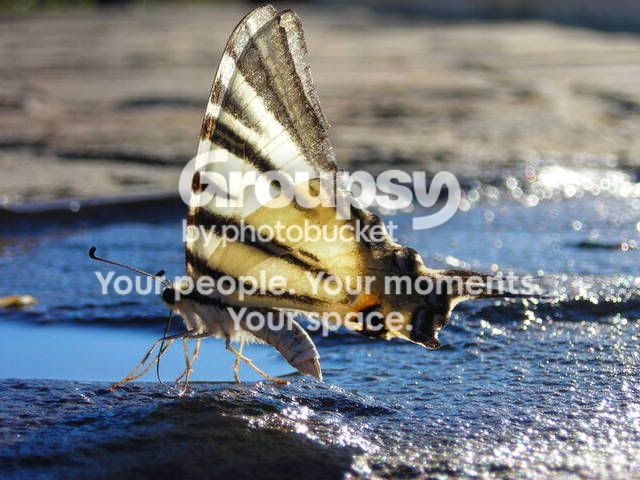 DSCN1145.jpg