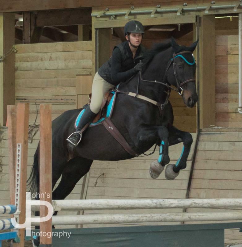 Horse_show%20(3).jpg