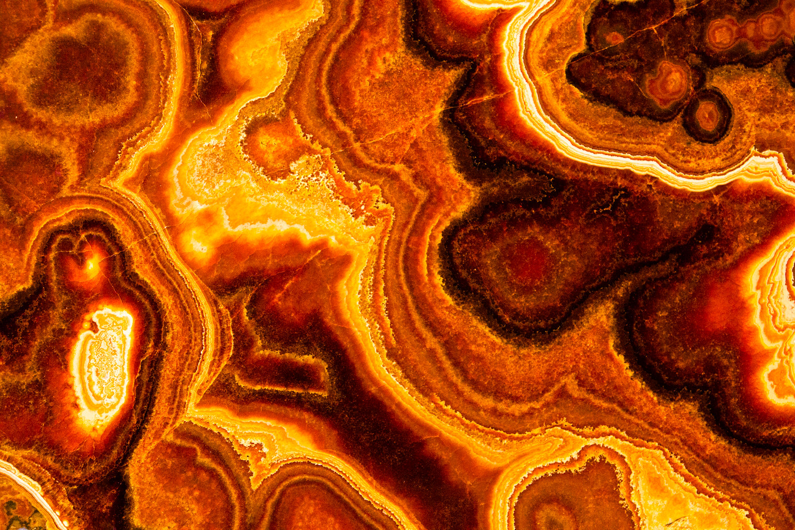 7215454550_7334b06747_h.jpg