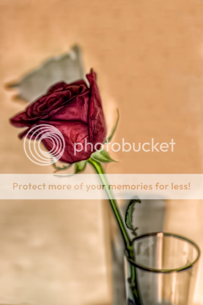 mothersdayrose3.jpg
