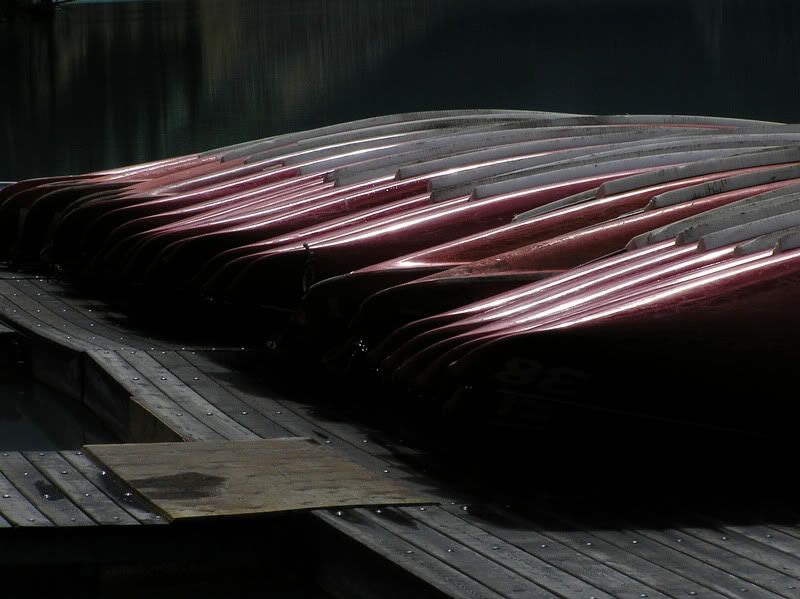 P8081206-1.jpg