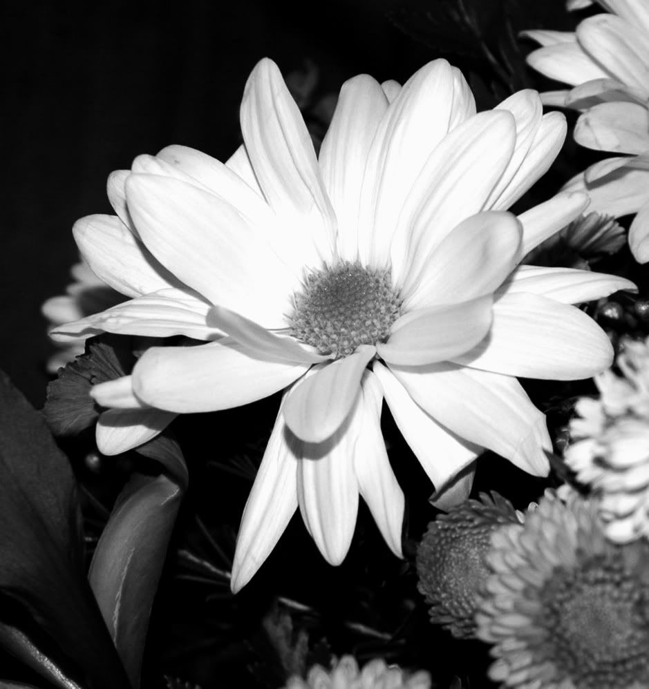 DSC_02812.jpg