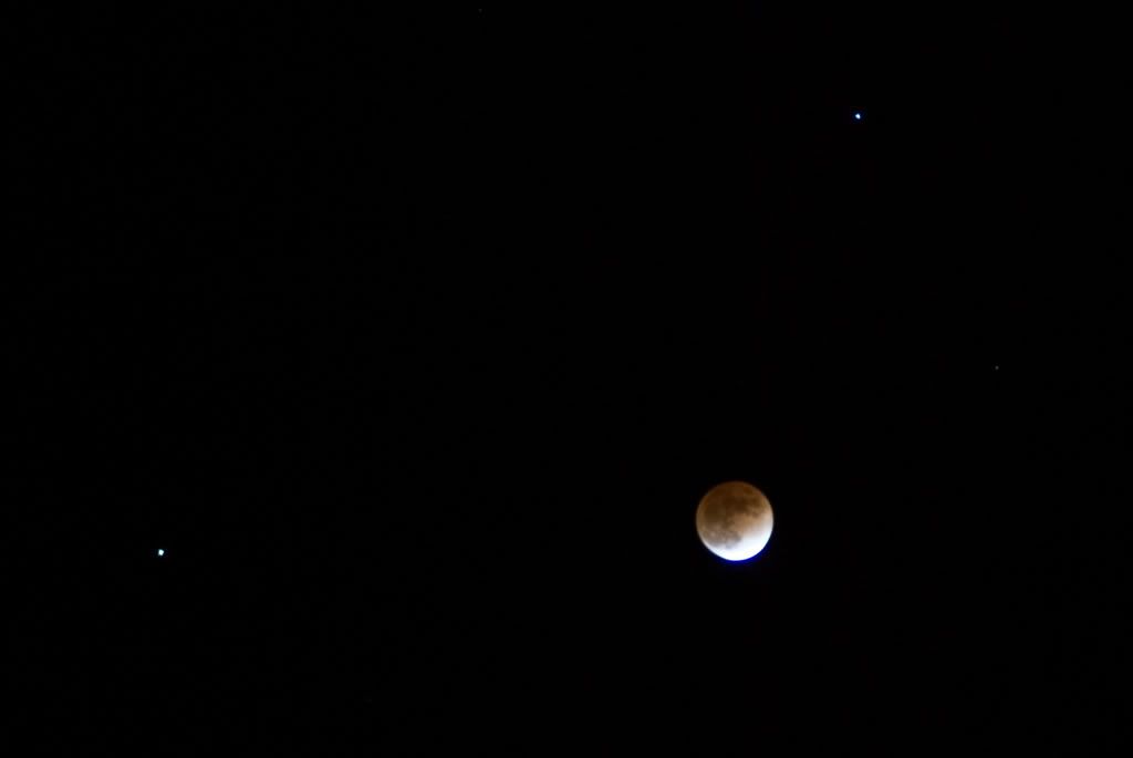 DSC_0504.jpg