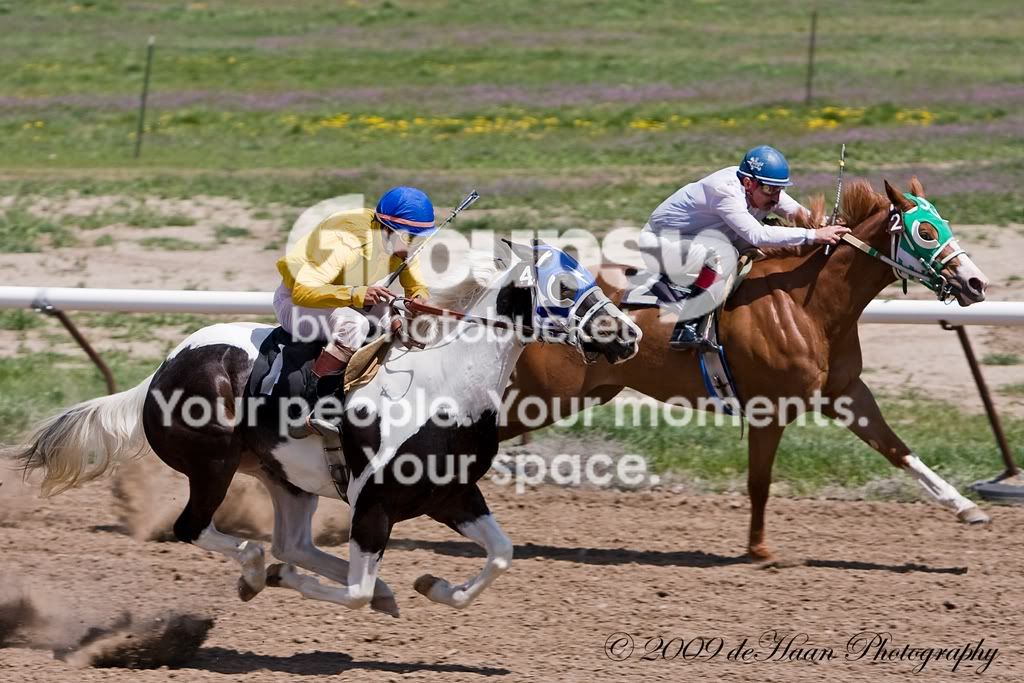 HorseRaceMilesCity2009JPEG.jpg