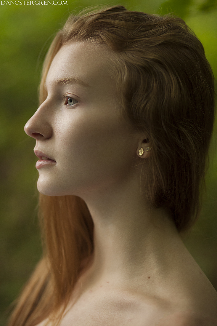 _mg_8400_by_danostergren-daqef52.jpg