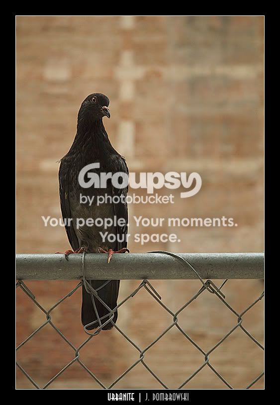 Urbanitecopy.jpg