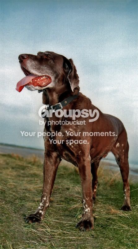 img008-pp-resize.jpg