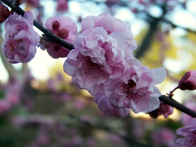 100_5606.jpg
