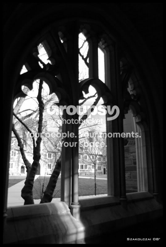 Windowcopy.jpg