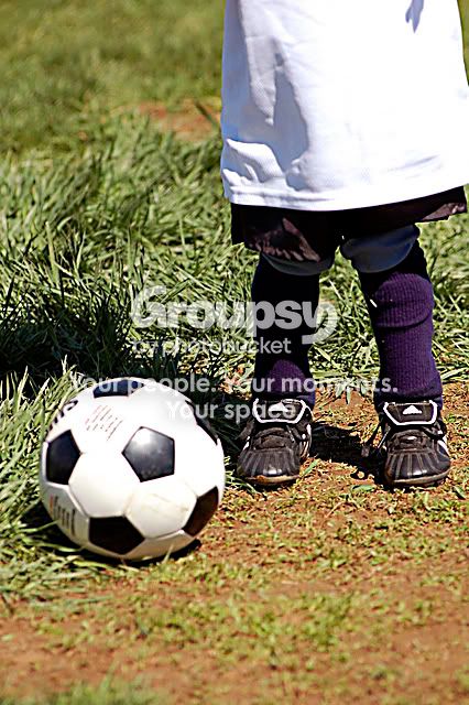 dsc0033zt5.jpg
