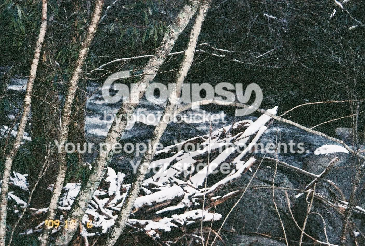snow2.jpg