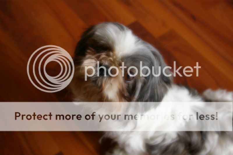 NewCameraTestShots032.jpg
