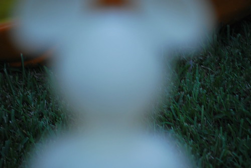 2920510590_c31afd11d3.jpg