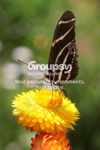 IMG_3042web.jpg