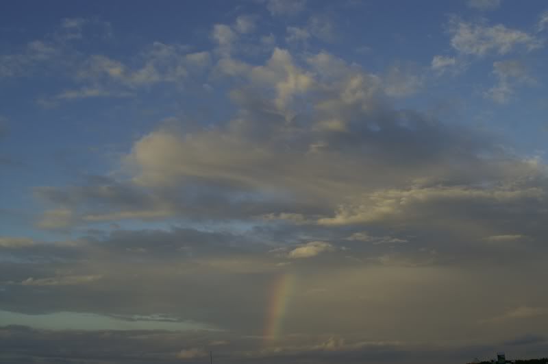 PICT2484.jpg