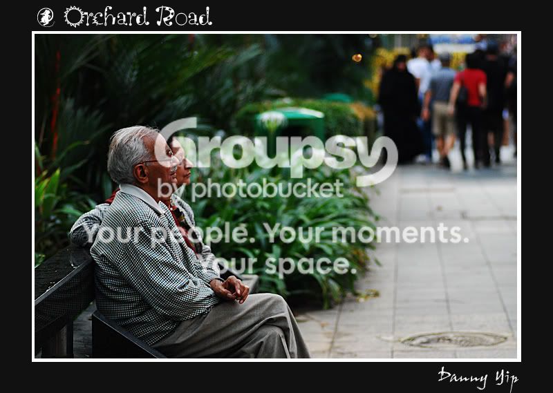 OrchardRoad8.jpg