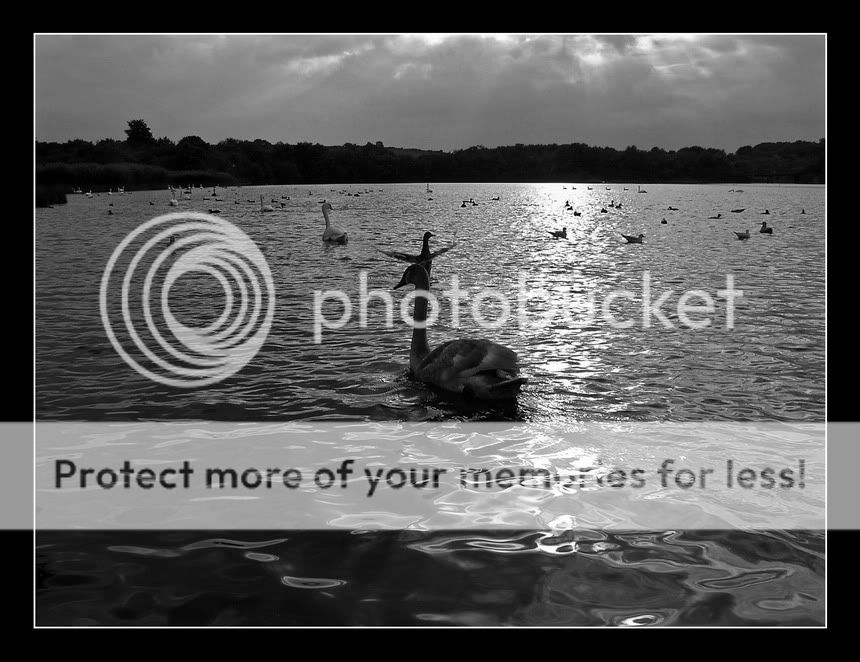 P1010127bw1_resize.jpg