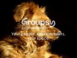 PetsRainbowand300052.jpg