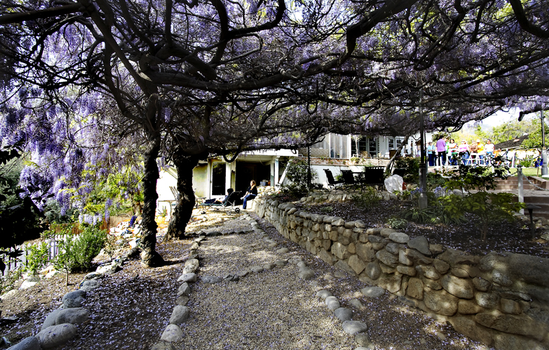 DPP-05-L.jpg