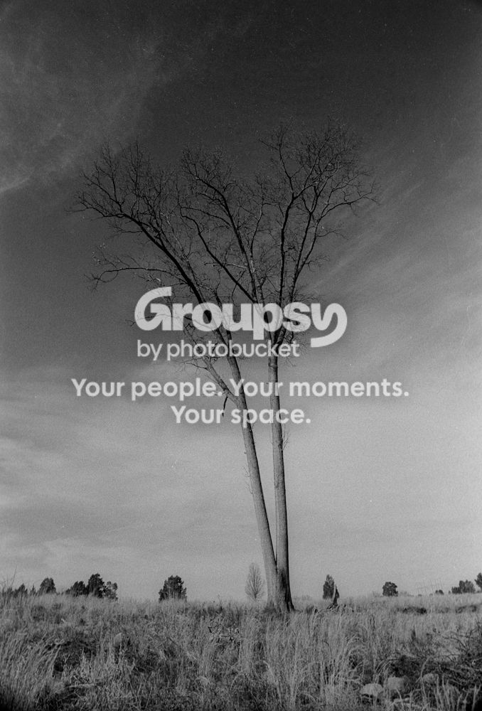 Scan-130131-0008_zpse3de2986.jpg