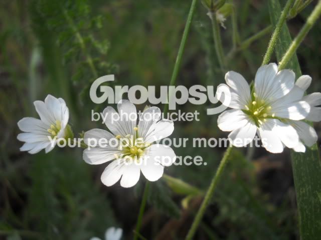 DSCN3509.jpg