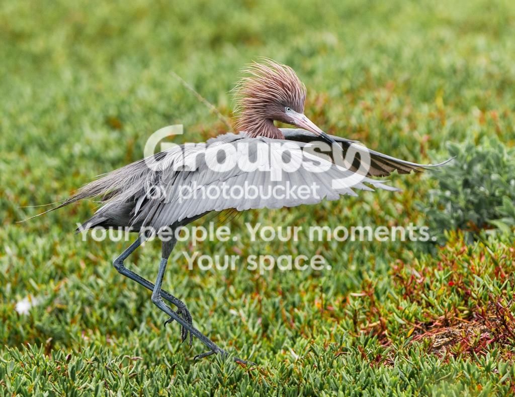 image_zpsa679d58b.jpg